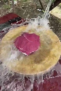 Best cooking natural food | Foods Daily