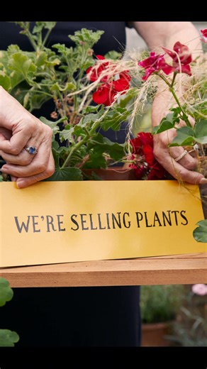 4.2K views · 28 reactions | Join us at Chilworth Manor on Saturday 1...