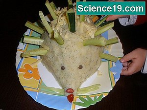 Осмозни експерименти с картофи за деца 💫 Научно-Популярен Мултимедиен Портал. 2025