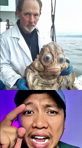 Sea monster #seamonster