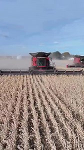 Case IH AF10 💪🏽 | Titan Machinery România