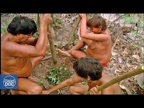 Inhabitants of the Amazon jungle (Tribes) - Full Documentary