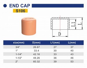 [Hot Item] CPVC Fire Sprinkler System Industry Pipe and Fittings End Cap S106