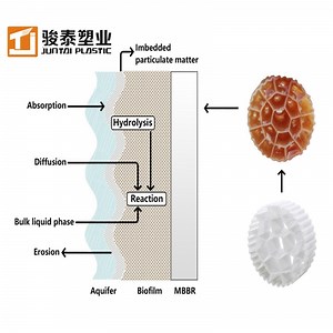 [Hot Item] Hybrid Mbbr Biofilter for Upgrading Conventional Activated Sludge Systems (CAS to IFAS)