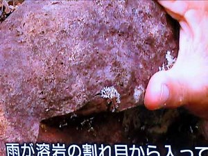 虹の島・・・ハワイ・カウアイ島