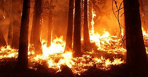 7 of the Most Destructive Wildfires in Australian History