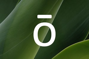Copaiba Oil | doTERRA精油