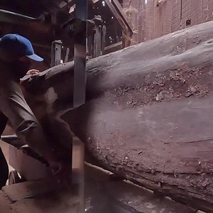 28K views · 180 reactions | sawmill a huge log | Sawmill & Woodworking | Facebook