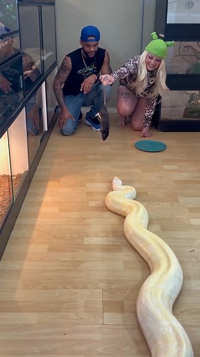 Me & Viki Feeding My Big Burmese Python Banana Pudding! 🤩🐍 #reelsfypシ #reptilelover #animal #Boa #reels #python #reptile #wildlife #snake #snakesofinstagram | Theblackivoryx