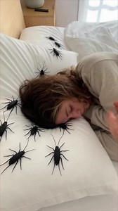 Fake cockroach prank shatters morning calm in an instant 😱🪳 | The Roundup