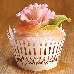 cupcake wrappers