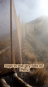 466K views · 7.8K reactions | In dry coastal and mountainous regions...