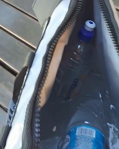 1.1K views | Go Fish on Reels | Facebook