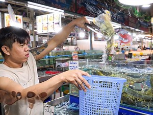 620K views · 5.8K reactions | Amazing Thai Seafood! Deep Fried Alien Mantis Shrimp | My Pub | Facebook