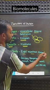 Functions of Protein #biomolecules #neetug #ncertbiology