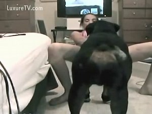 Horny nineteen year old skinny webcam model having animal sex