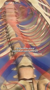 How forensic anthropologists identify bodies. | IFLScience