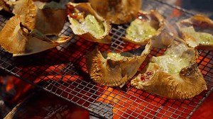 Des frais pour toute personne supplémentaire : vidéo de stock (100 % libre de droit) 3985077639 | Shutterstock