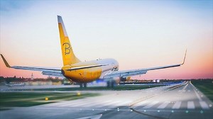Bees Airline тимчасово втратить всі авіалайнери: що буде з рейсами