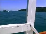 Paradise Asian Island 1