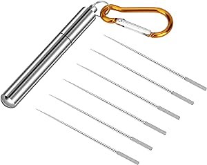 Mini Pocket Toothpick Holder with 6PCS Reusable Titanium Toothpicks, Portable Outdoor Stainless Steel Toothpick Fruit Picks with Keychain for Camping Picnic