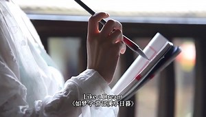 Li Qingzhao arrived in Bianjing in the prime of her youth. She was unmarried yet, brimming with the tenderness and modesty of a young girl. #ChinaCulture #ChineseNation (Video by Huayun Bilingual Cultural Communication Society of North Minzu University) | DeepChina