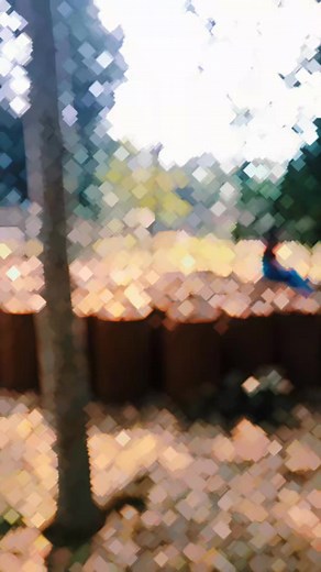 Hello Wedding on Reels