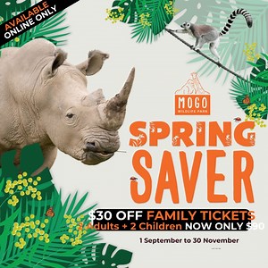 18 reactions | Snap up this deal - ONLINE ONLY $90 SPRING SAVER...