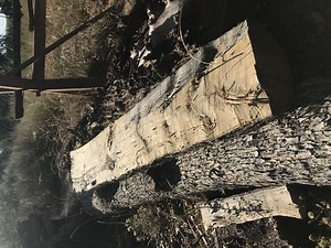 Put legs on uneven half-round log bench