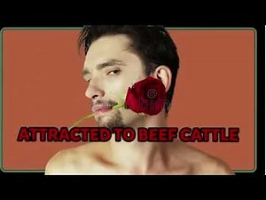 Packgod roast compilation pt1