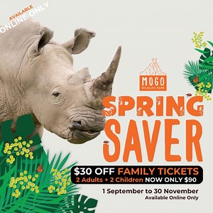 Roar into Spring with a wild adventure at Mogo Wildlife Park! 🐾 Explore the beauty of the park with your family for only $90 with our Spring Saver Family Ticket. 🎉 It's the perfect opportunity for animal lovers to witness the unique moments that Mogo has to offer.🦁 Book now and save big! 🐆 AVAILABLE ONLINE ONLY - BOOK NOW www.mogowildlifepark.com.au/springsaver | Mogo Wildlife Park