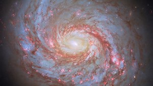 3K views · 136 reactions | Close-up: Spiral Galaxy Messier 77 in...