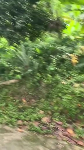 #tclplug254 #viralkenya #casemiro #funnyvideo #challenges_tiktok #electronicskenya #fypkenya #nairobi #funnyvideo #nairobikenya