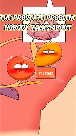 The Prostate Problem Nobody Talks About