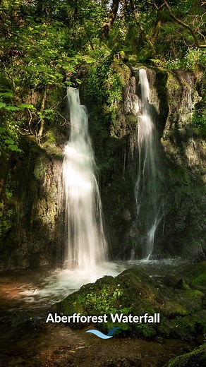 Wet weather makes for wonderful Welsh waterfalls 😍 If woodland walks, empty beaches and picturesque coastal villages don’t convince you to visit Pembrokeshire then maybe this magical spot behind Aberffoest Beach will! 🌊🌳 Autumn is one of the best times to plan a holiday in Pembrokeshire. Don’t believe us? Find out why 👉 https://bit.ly/3Qq4yQD #visitpembrokeshire #visitwales #coastalcottages #sharepembrokeshire #waterfall #waterfallsofinstagram #pembrokeshirecoast #hiddengem #explorewales #st