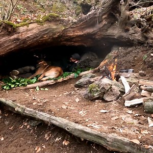 227K views · 4.4K reactions | bushcraft trip with survival skills and campfire cooking #shelter #survival #camping #wildlife #adventrue #cooking #offgrid #dog #forest #bushcrafter #wild #wargehbushcraft #Nature #movie #camp #primitive #bushcraft #diy #Camping #fireplaces #adveture #nature | Wargeh Bushcraft | Facebook