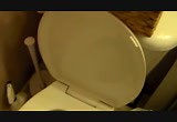 YouTube Video: DISGUSTING NASTY POOP IN TOILET