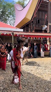 68K views · 882 reactions | Ma'rombongan/Menerima Tamu . #EksploreToraja #FuneralCeremony #RambuSolo #TanaToraja #TanaTorajaMasero #toraja #ayoketoraja #worldcup #fifaworldcup #communityevent #parade #game #musical #wrestling #hockey #mma | Explore Toraja | Facebook