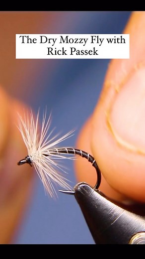 Rick Passek, the Fly Fishing Fanatic, ties a Mosquito Pattern that imitates small dry flies like Midges and some Mayflies. Simple tie and can be deadly tied in a size 18 when fish are finicky. Watch the FULL version on our YouTube Channel. . . . @officialmauijim @troutwaters.ca @welovehardyflyfishing @authentictshirtcompany @scientificanglers @twoutdoors.ca #bobberdown #chironomids #troutflies #flytyingnation #flyfishingbc #chironomid #sfotf #sportfishingonthefly #troutfly #flytying #flyfishing 