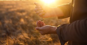 Le Crédit Agricole : histoire d'une coopérative au service des coopératives agricoles