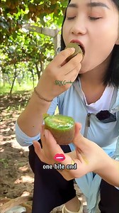 82K views · 1K reactions | Transform your life by growing clean, fresh fruit right in your garden with kiwi seedlings | SRK | Facebook