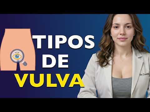 8 types of female vulvas: Which one do you have?