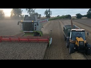 Claas Lexion 750 TT Wheat Harvest 2022