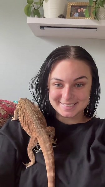 Bearded Dragon Care Tips for Happy Healthy Pets
