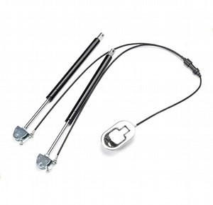 [Hot Item] Medical Gas Strut with Controllable Adjustment for Healthcare Equipment