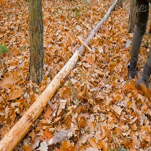 4.4K views · 52 reactions | Building a log cabin in the forest shed near the hut continuing construction workbench | Lee DongHae | Facebook