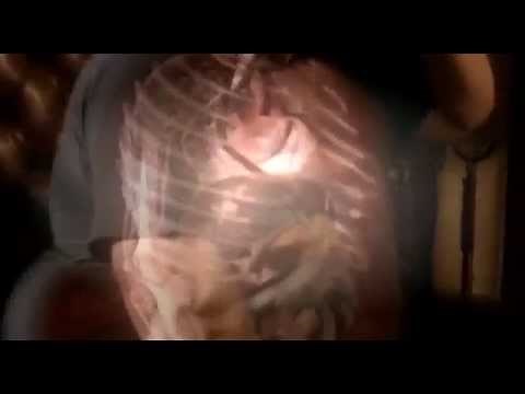Inside The Living Body Documentary (NEW) | National Geographic Channel dp