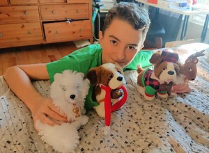 Elf On The Shelf Pets Add To The Magic Of Christmas