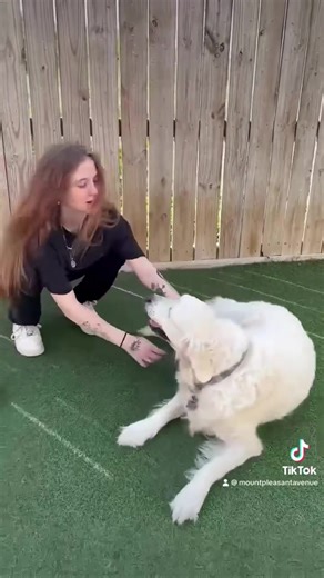 1.2K views · 166 reactions | MPA warmly welcomes Riley back to the Hotel!!! | Mount Pleasant Avenue Premier Canine Villas & Spa | Facebook