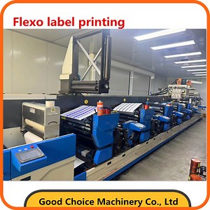 [Hot Item] Flexo Label Printing Machine
